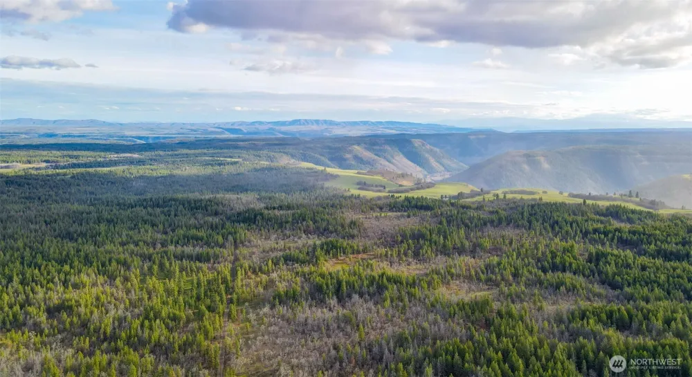 0 Lot 8 Greyback Mountain Road Goldendale, WA 98620