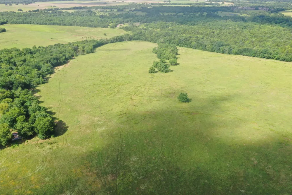 1 Fm 2990 Ladonia, TX 75449
