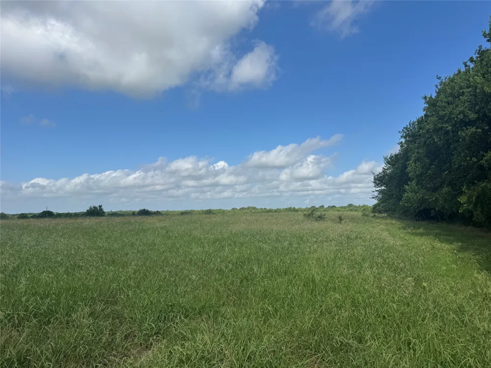 1 Fm 2990 Ladonia, TX 75449