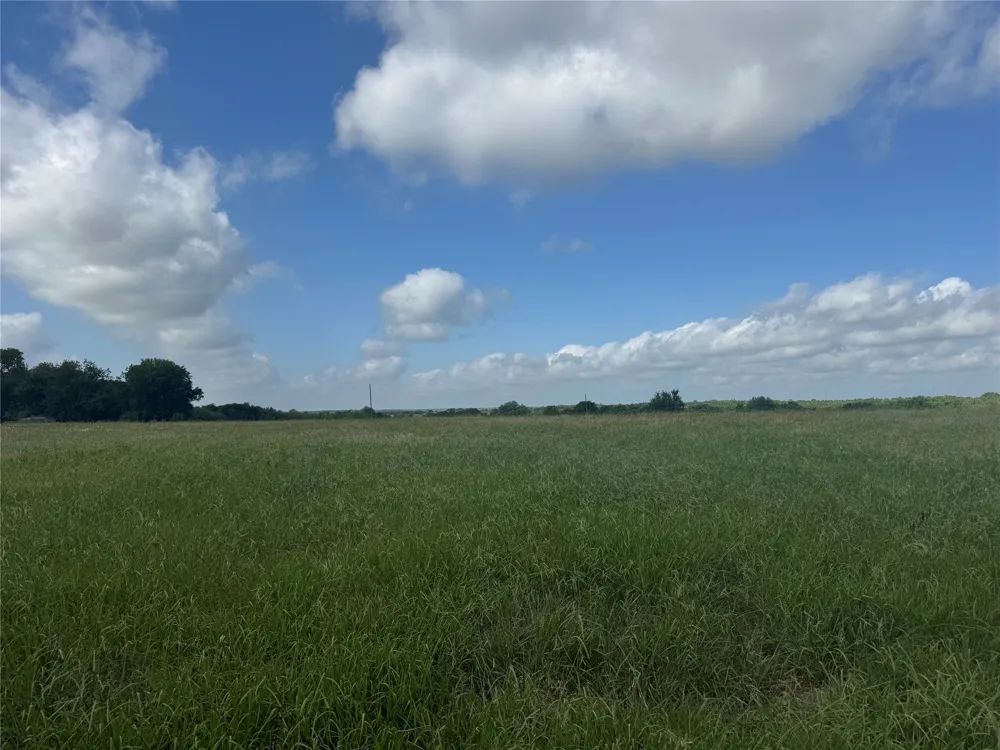 1 Fm 2990 Ladonia, TX 75449