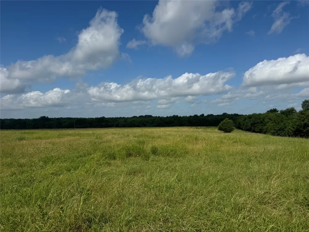1 Fm 2990 Ladonia, TX 75449