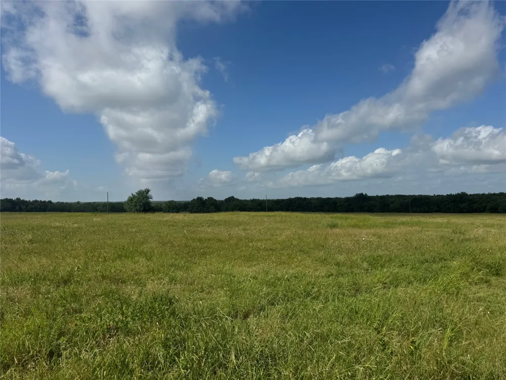 1 Fm 2990 Ladonia, TX 75449