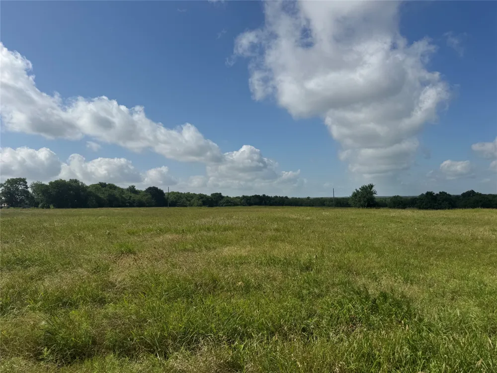 1 Fm 2990 Ladonia, TX 75449