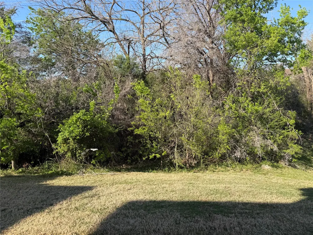 1242 Alamo Drive Lewisville, TX 75077