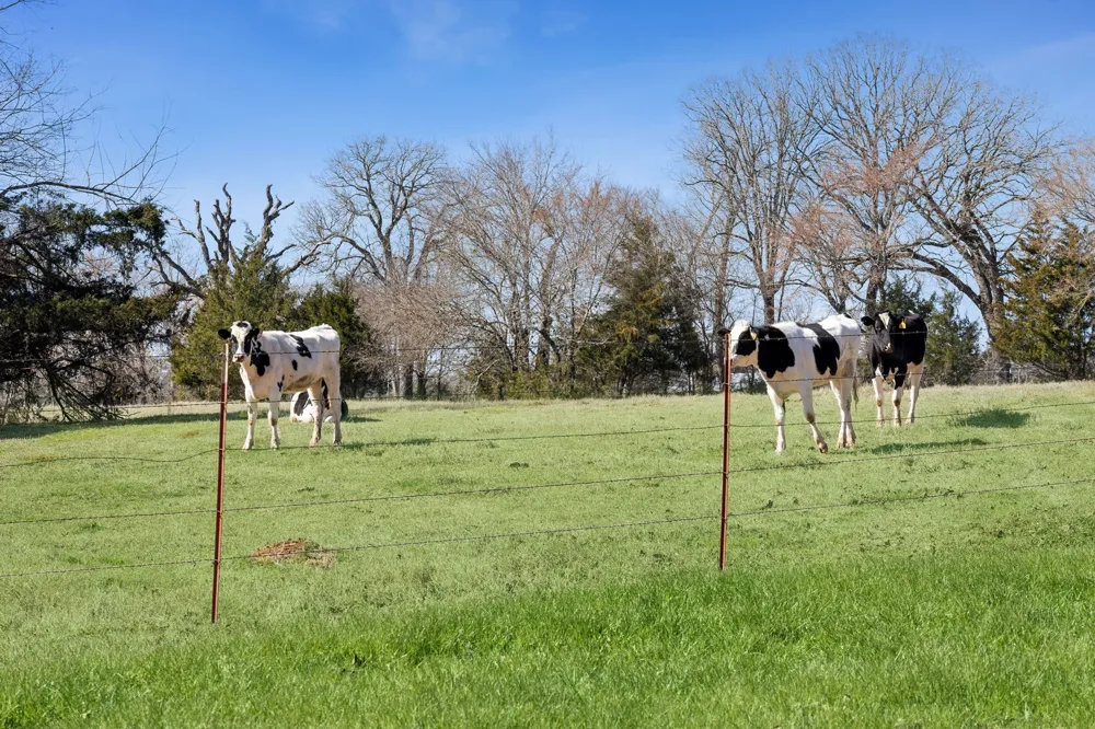1818 County Road 1151 Cumby, TX 75433