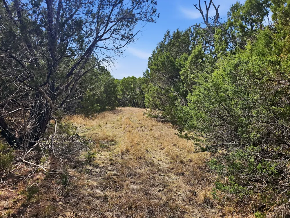 880 County Road 158 Evant, TX 76525