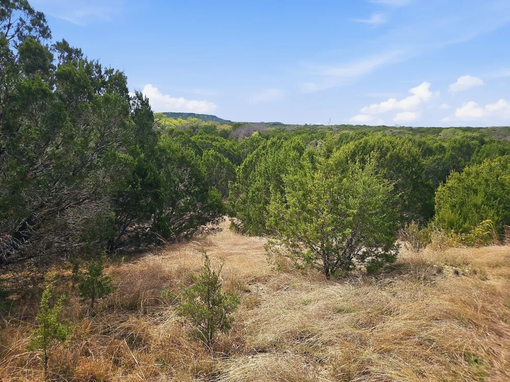 880 County Road 158 Evant, TX 76525