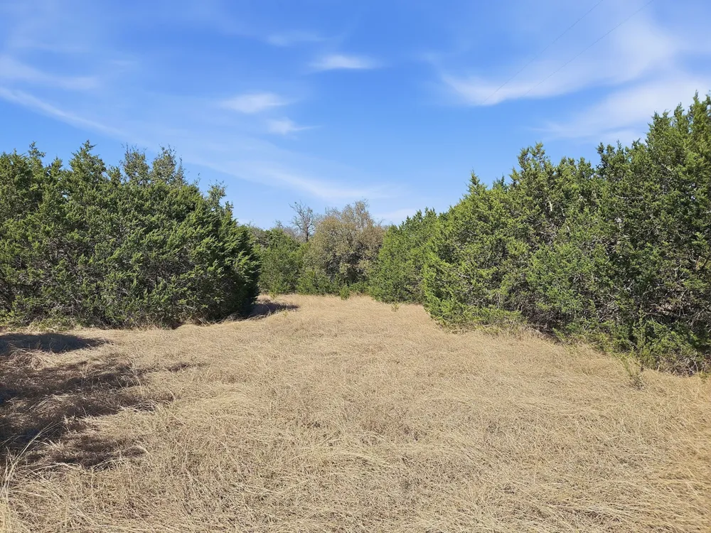 880 County Road 158 Evant, TX 76525