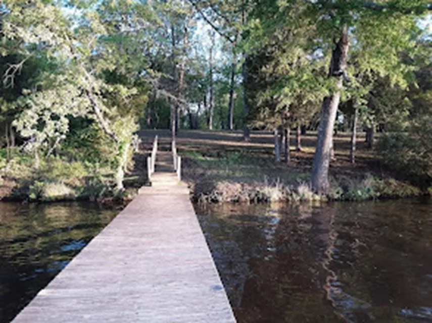 Armadillo Drive Murchison, TX 75778