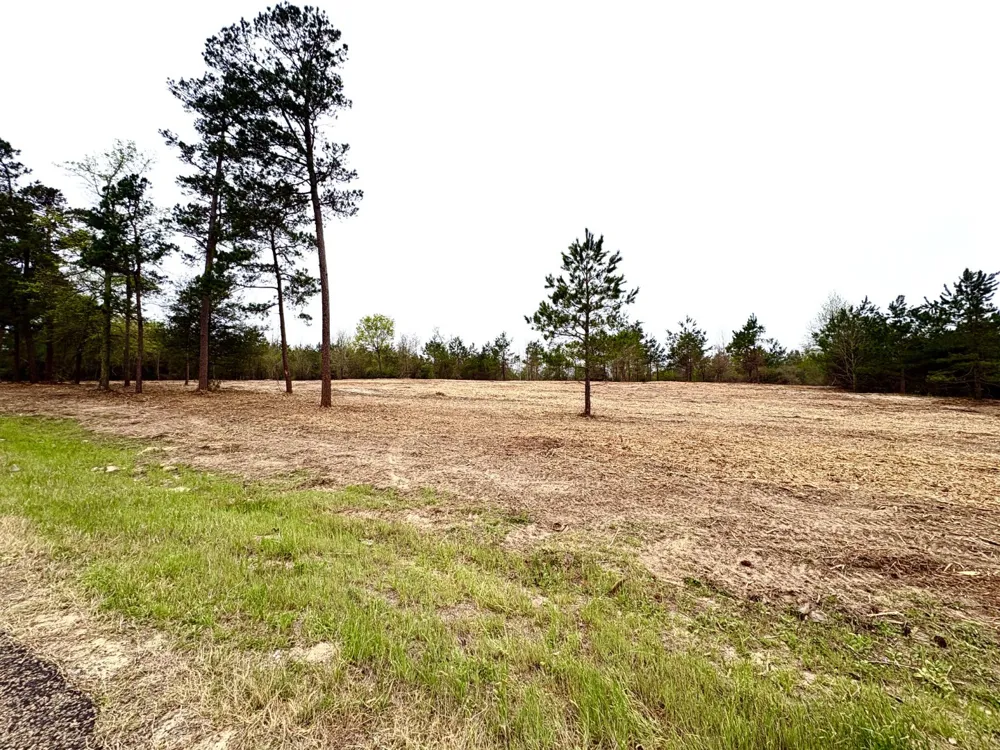 FM 711 Center, TX 75935