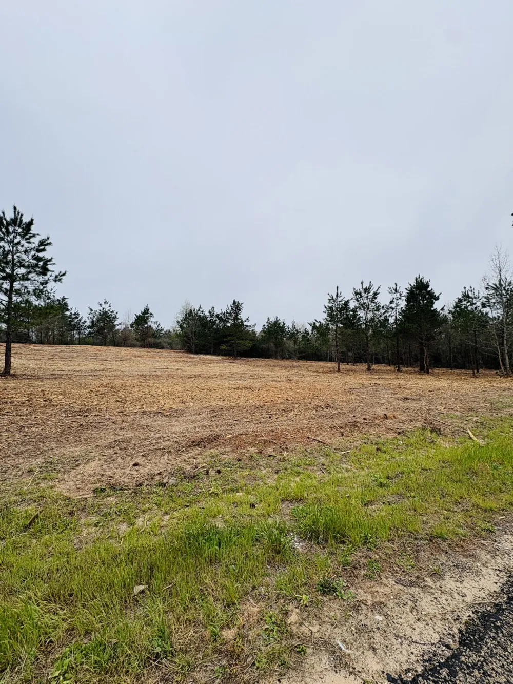 FM 711 Center, TX 75935
