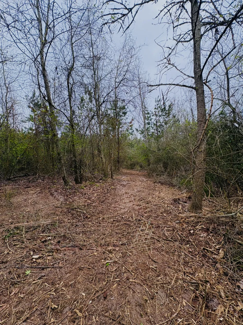 FM 711 Center, TX 75935