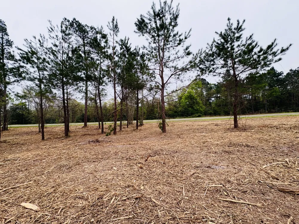 FM 711 Center, TX 75935