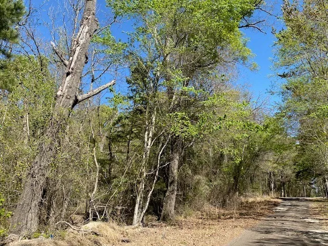 Armadillo Drive Murchison, TX 75778