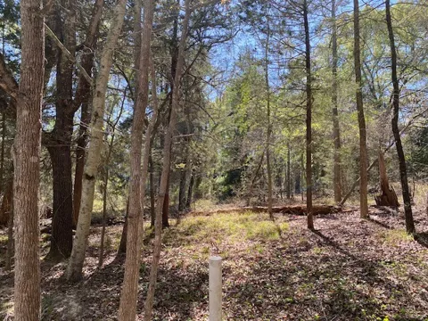 Broad Meadow