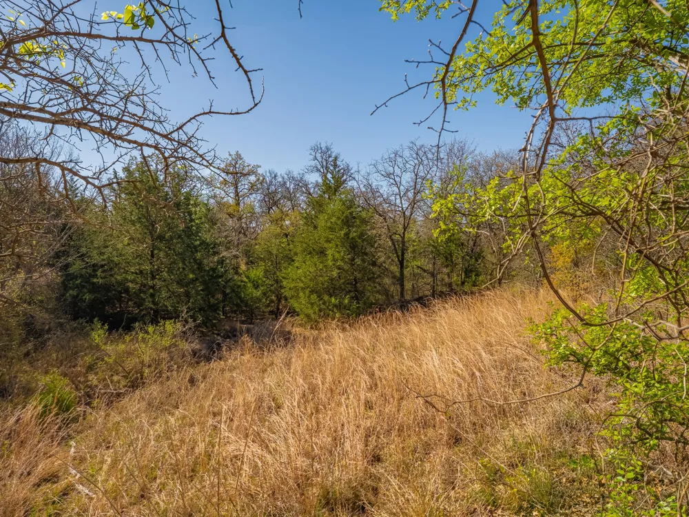 500 Private Road 3204 Bridgeport, TX 76426