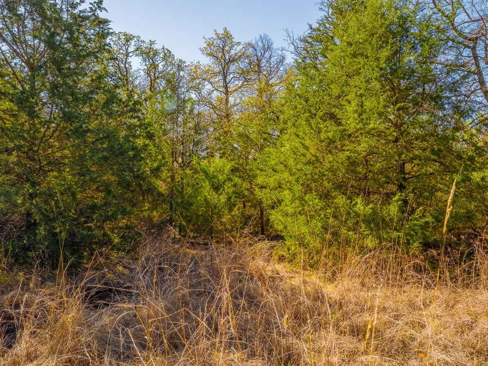 500 Private Road 3204 Bridgeport, TX 76426