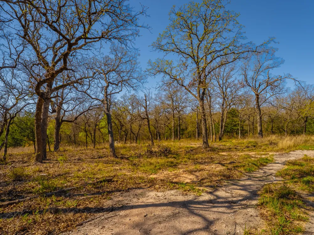500 Private Road 3204 Bridgeport, TX 76426
