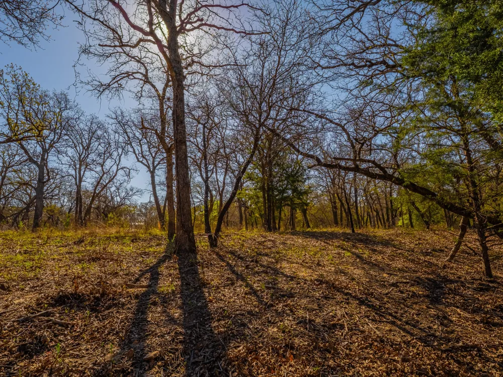 500 Private Road 3204 Bridgeport, TX 76426