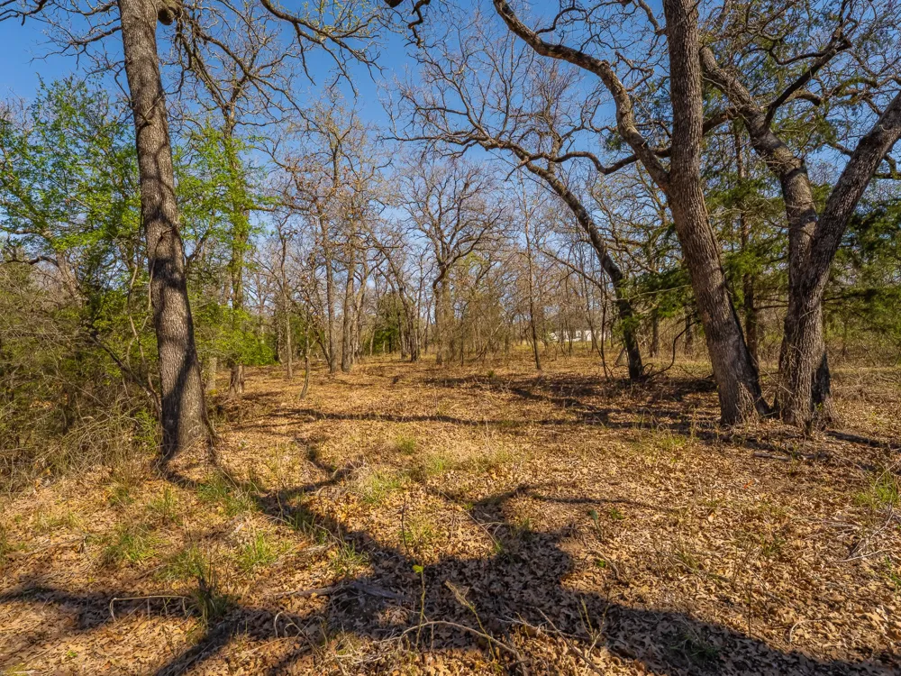 500 Private Road 3204 Bridgeport, TX 76426