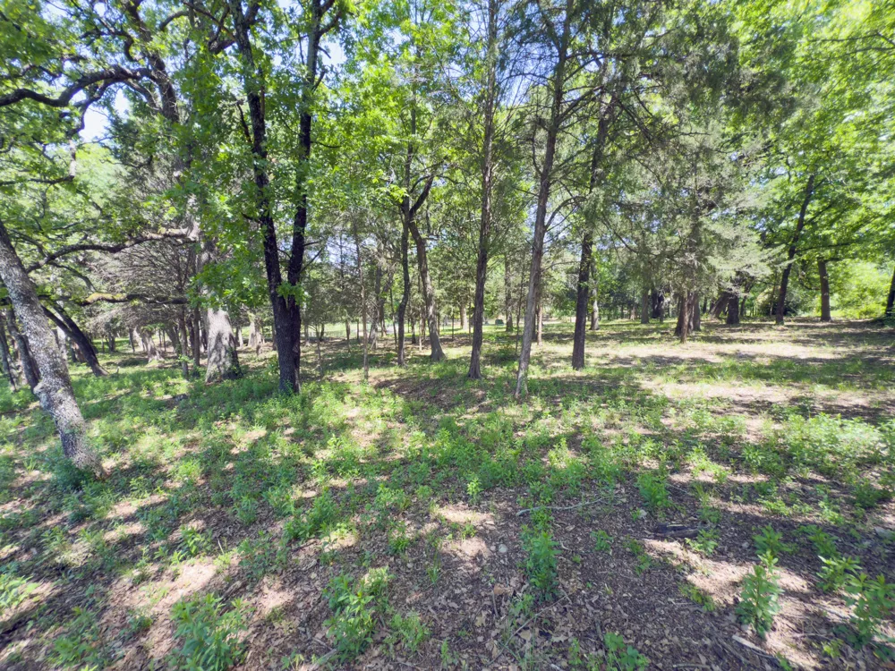 125 Harrell Street Gun Barrel City, TX 75156