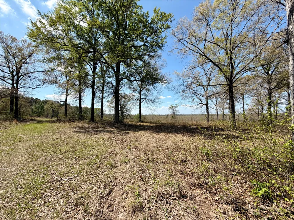 FM 3001 W Marshall, TX 75670