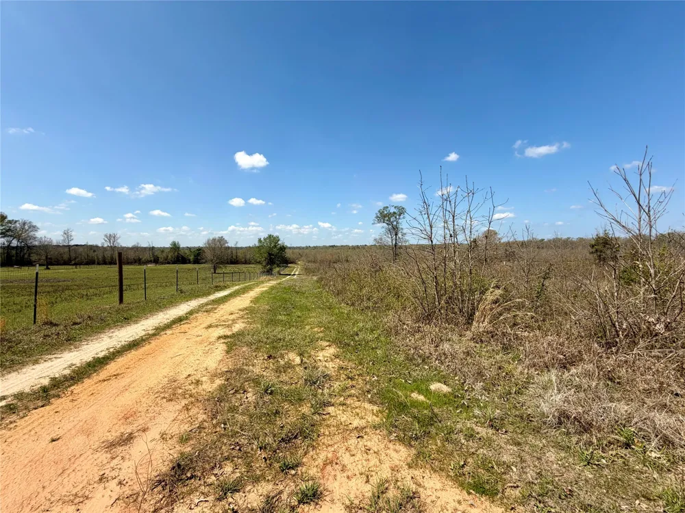 FM 3001 W Marshall, TX 75670