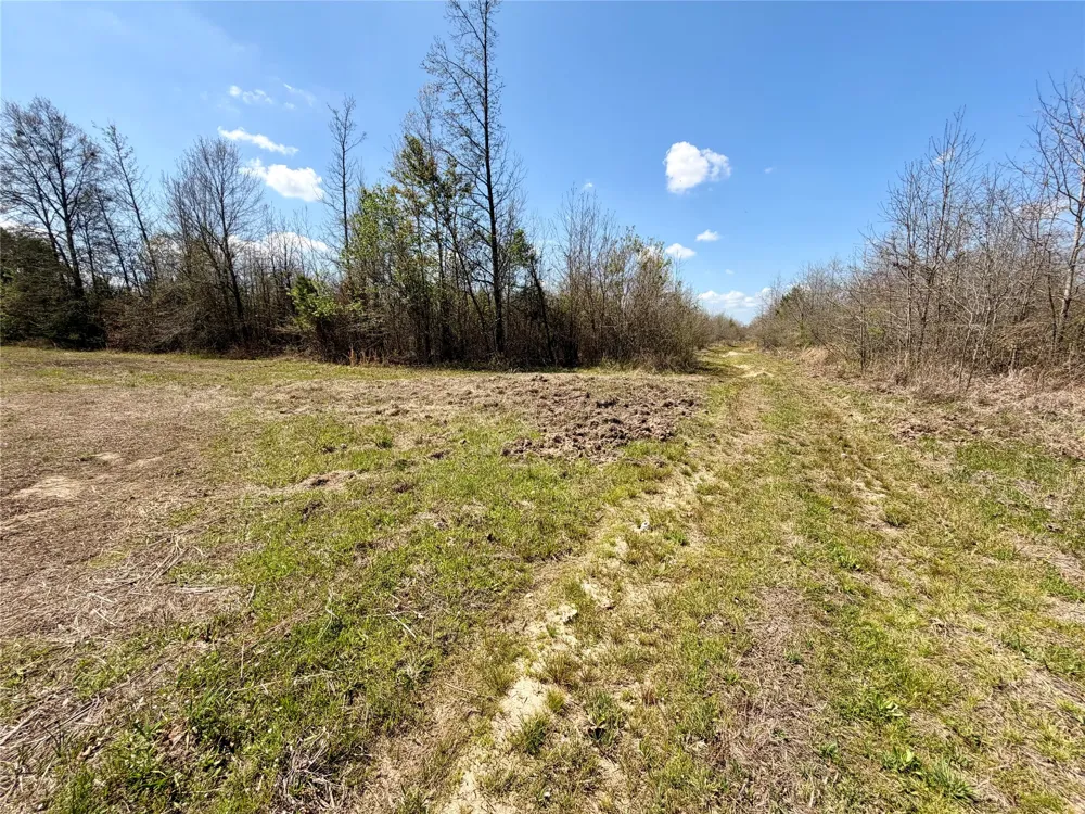 FM 3001 W Marshall, TX 75670