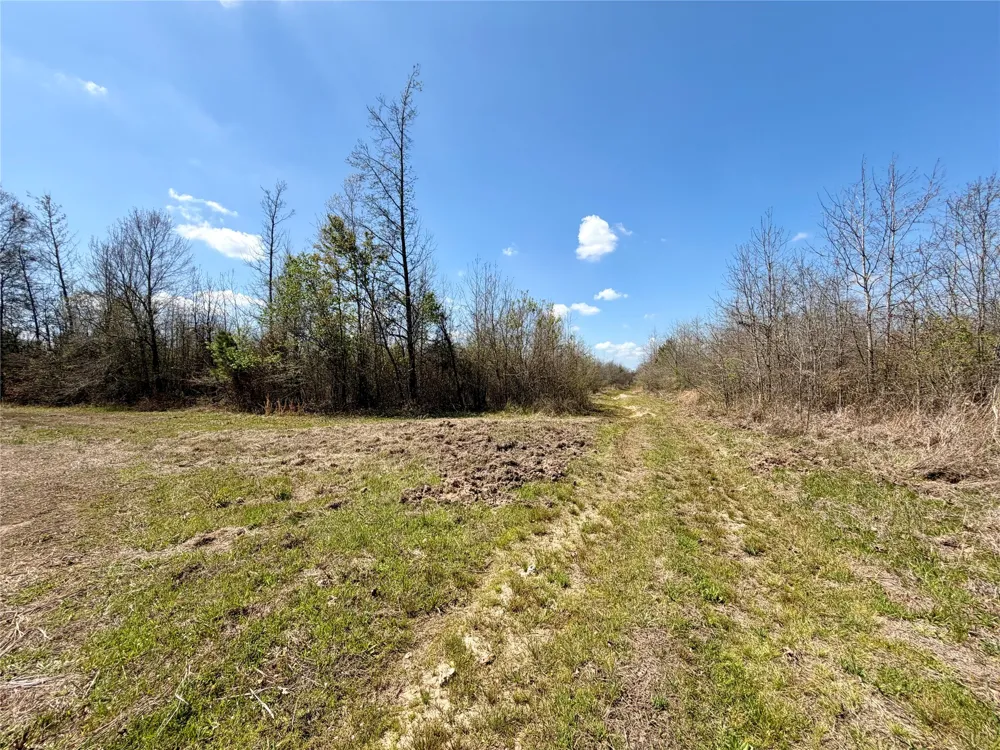 FM 3001 W Marshall, TX 75670