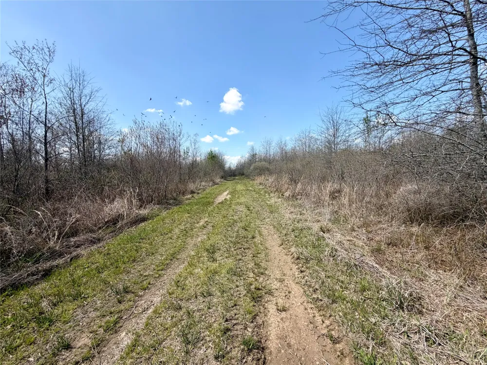 FM 3001 W Marshall, TX 75670