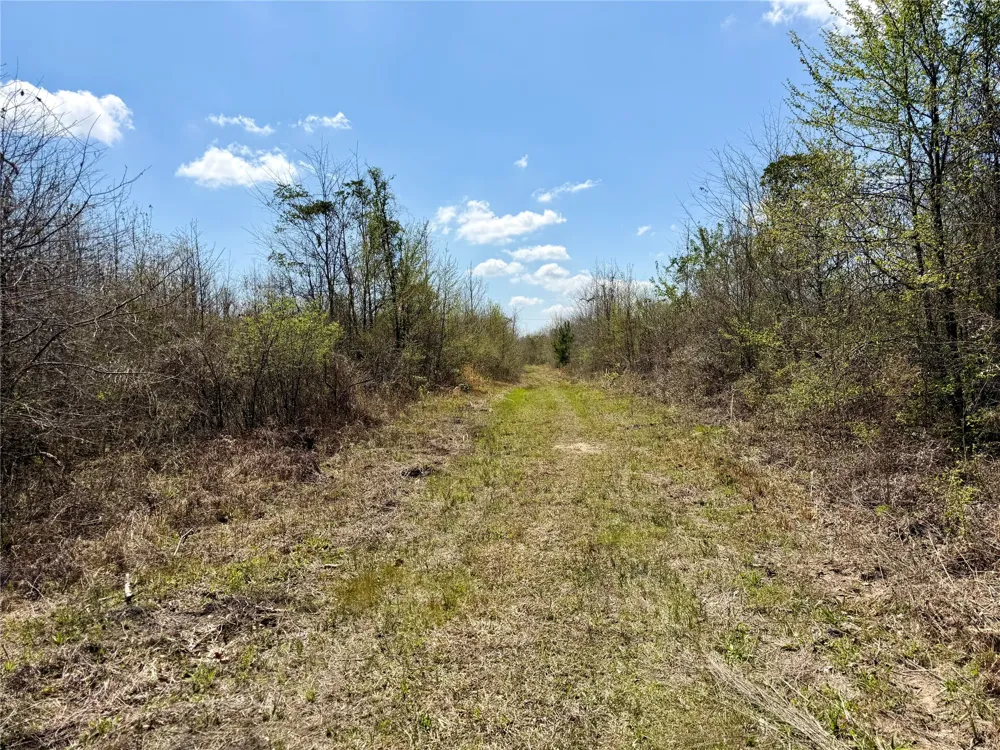 FM 3001 W Marshall, TX 75670