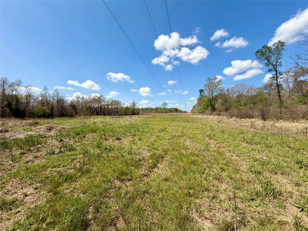 FM 3001 W Marshall, TX 75670