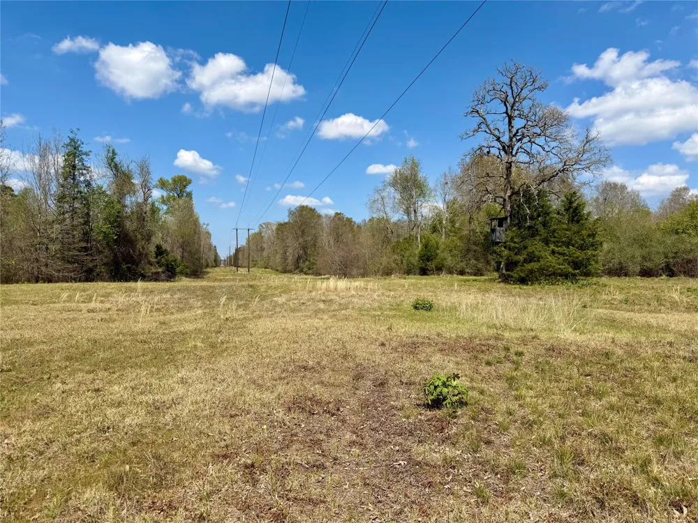 FM 3001 W Marshall, TX 75670