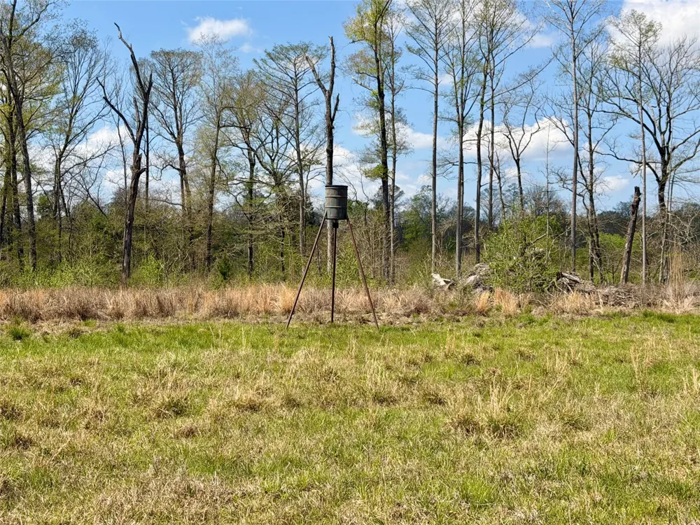 FM 3001 W Marshall, TX 75670