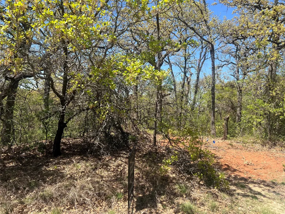 1000 Crazy Horse Trail Burleson, TX 76028