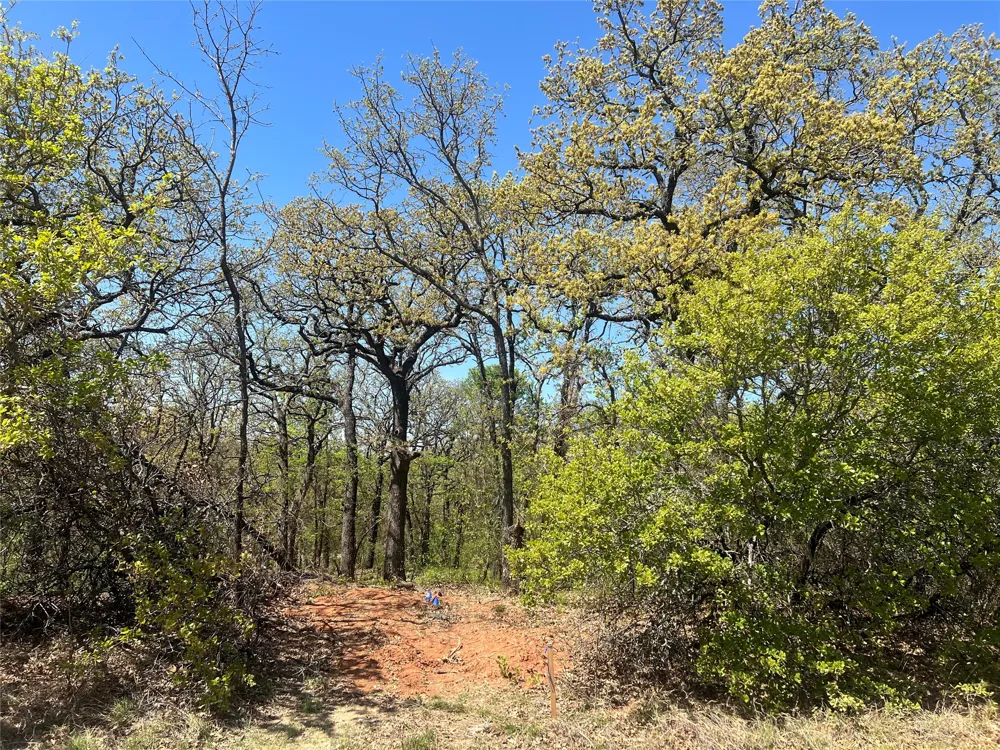 1000 Crazy Horse Trail Burleson, TX 76028