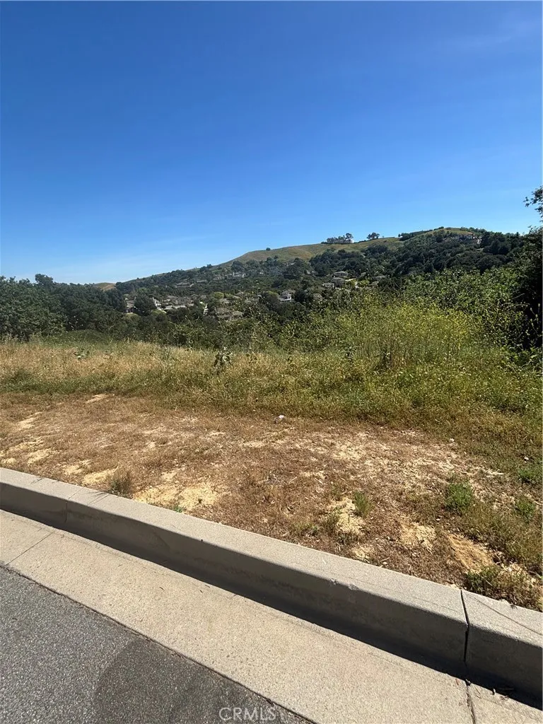 2105 Oak Canyon Chino Hills, CA 91709