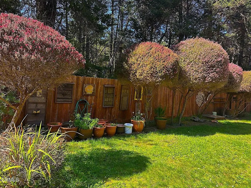 10360 Gary Lane Mendocino, CA 95460
