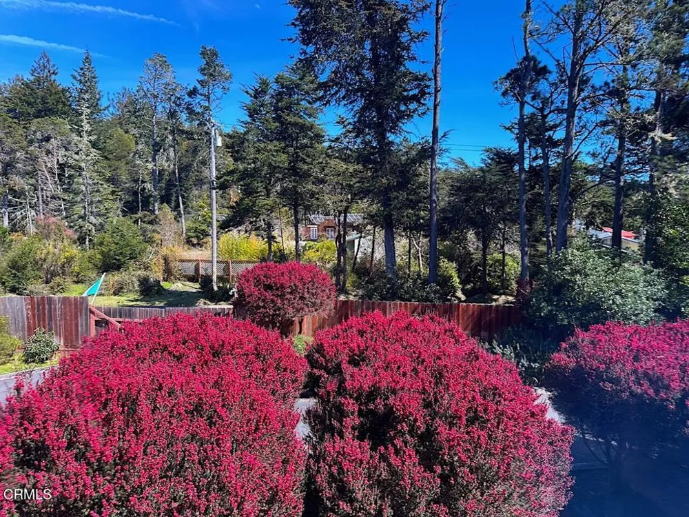 10360 Gary Lane Mendocino, CA 95460