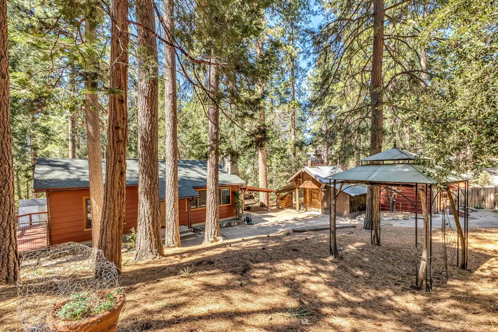 24941 Pine Cove Road Idyllwild, CA 92549