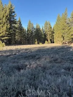 34557 Polique Canyon Fawnskin, CA 92333