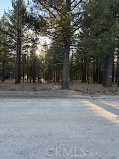 34557 Polique Canyon Fawnskin, CA 92333