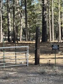 34557 Polique Canyon Fawnskin, CA 92333
