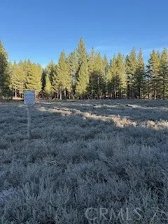34557 Polique Canyon Fawnskin, CA 92333