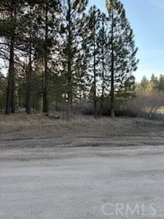 34557 Polique Canyon Fawnskin, CA 92333