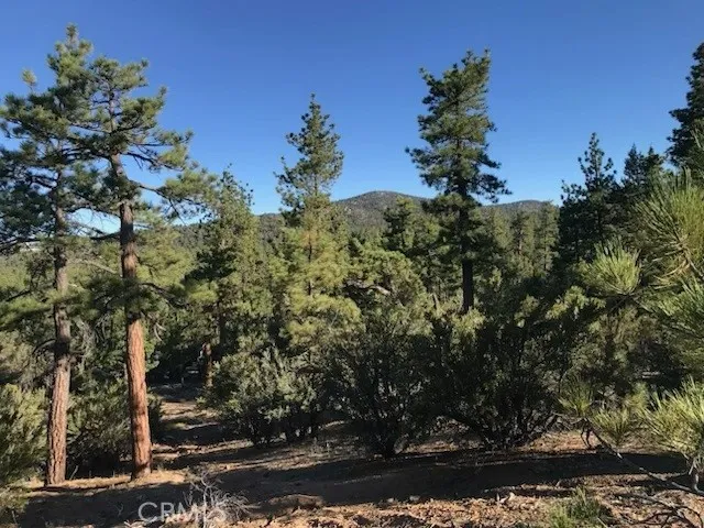 34557 Polique Canyon Fawnskin, CA 92333