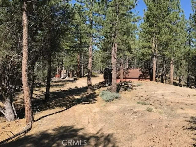 34557 Polique Canyon Fawnskin, CA 92333
