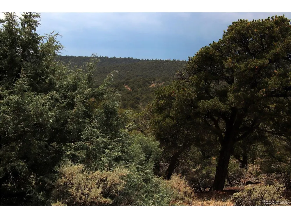 2252 White Tail RD #2 Circle San Luis, CO 81152