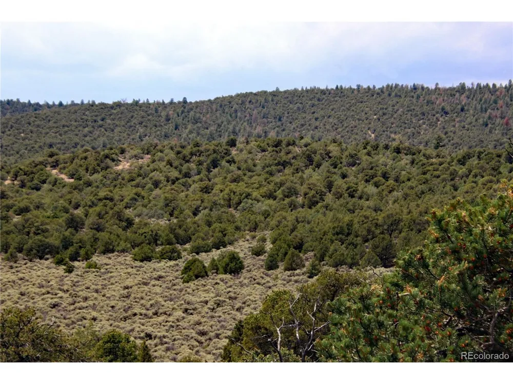 2252 White Tail RD #2 Circle San Luis, CO 81152