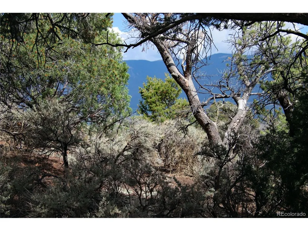 2252 White Tail RD #2 Circle San Luis, CO 81152